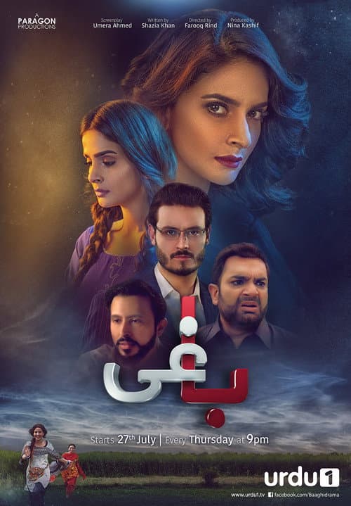 Baaghi Season 1 poster