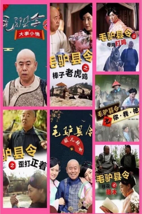 毛驴县令 第一季 Season 1 poster