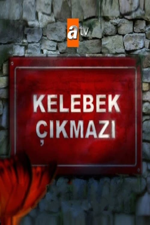 Kelebek Çıkmazı Season 1 poster