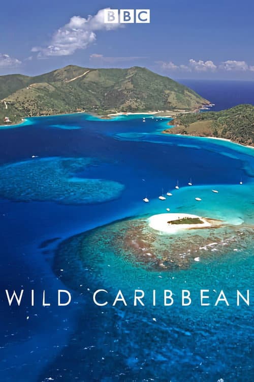 Wild Caribbean Series 1 poster
