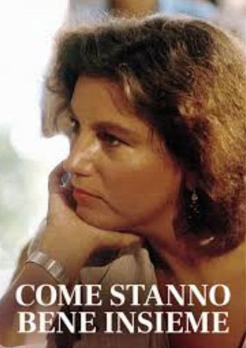 Come stanno bene insieme Season 1 poster