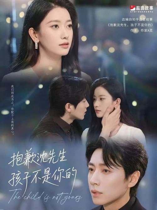 抱歉沈先生，孩子不是你的 Season 1 poster