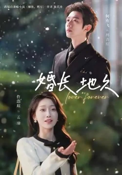 婚长地久 Season 1 poster