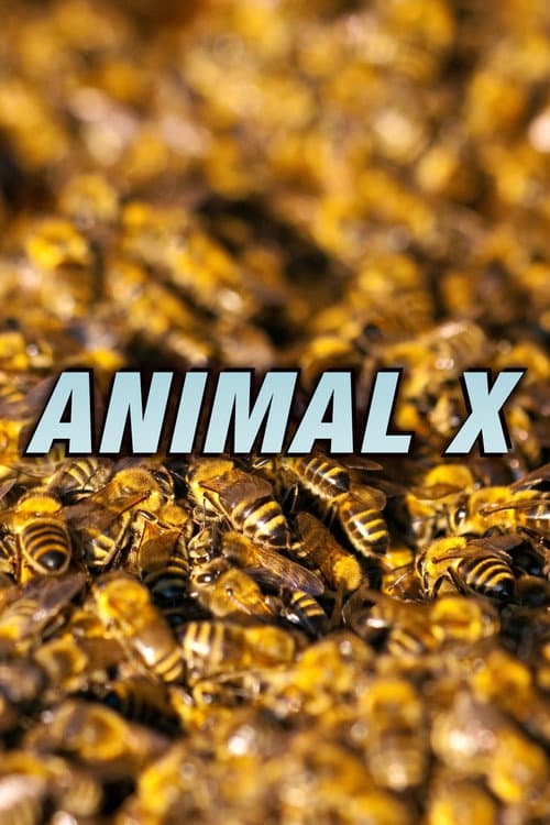 Animal X Season 2 poster