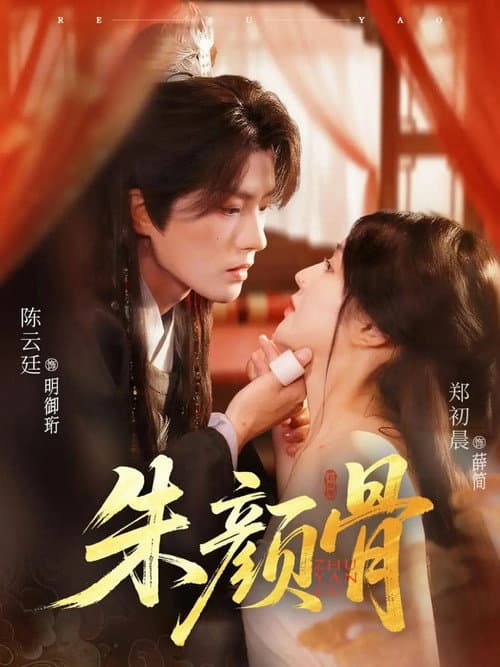 朱颜骨 Season 1 poster