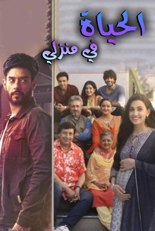 Zindagi Mere Ghar Aana Season 1 poster