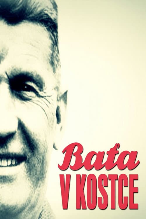 Baťa v kostce Season 1 poster