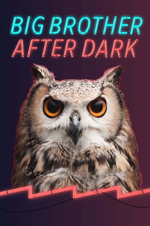 Big Brother: After Dark Season 7 poster