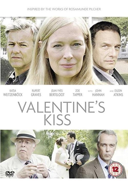 Rosamunde Pilcher: Fighting for Her Family Miniseries poster