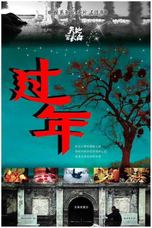 过年 Season 1 poster