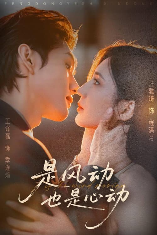 是风动也是心动 Season 1 poster