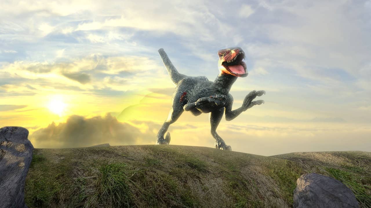 Lone Pup backdrop
