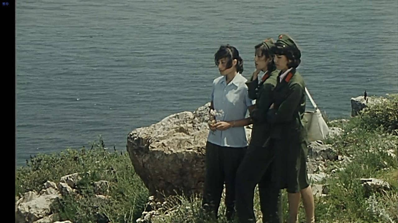 小岛 backdrop