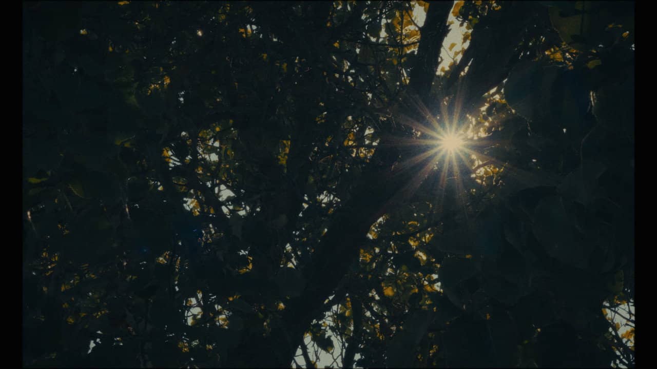 Echoes backdrop