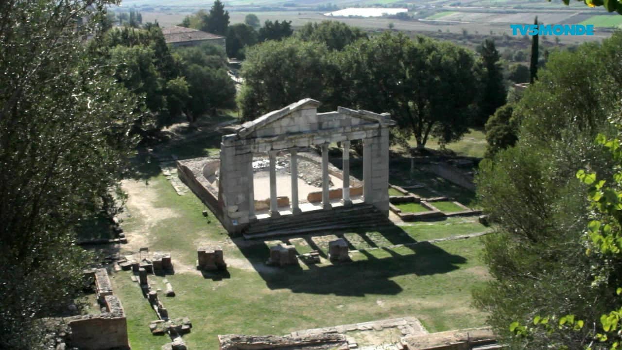 Apollonie, les dieux avaient raison backdrop