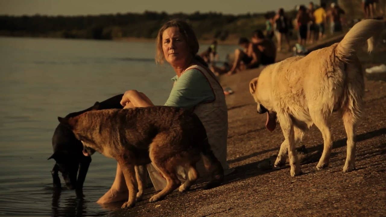 Dog Lady backdrop