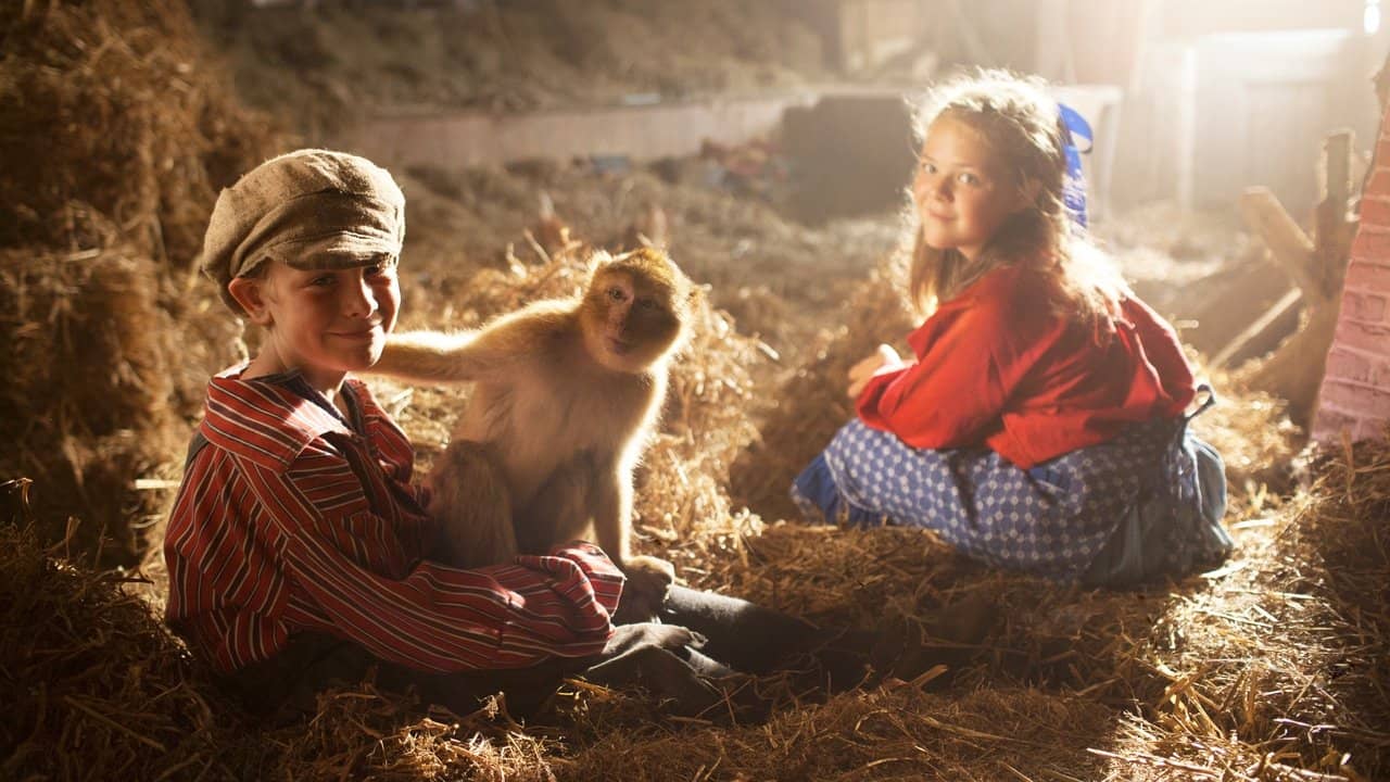 Monkey Business backdrop