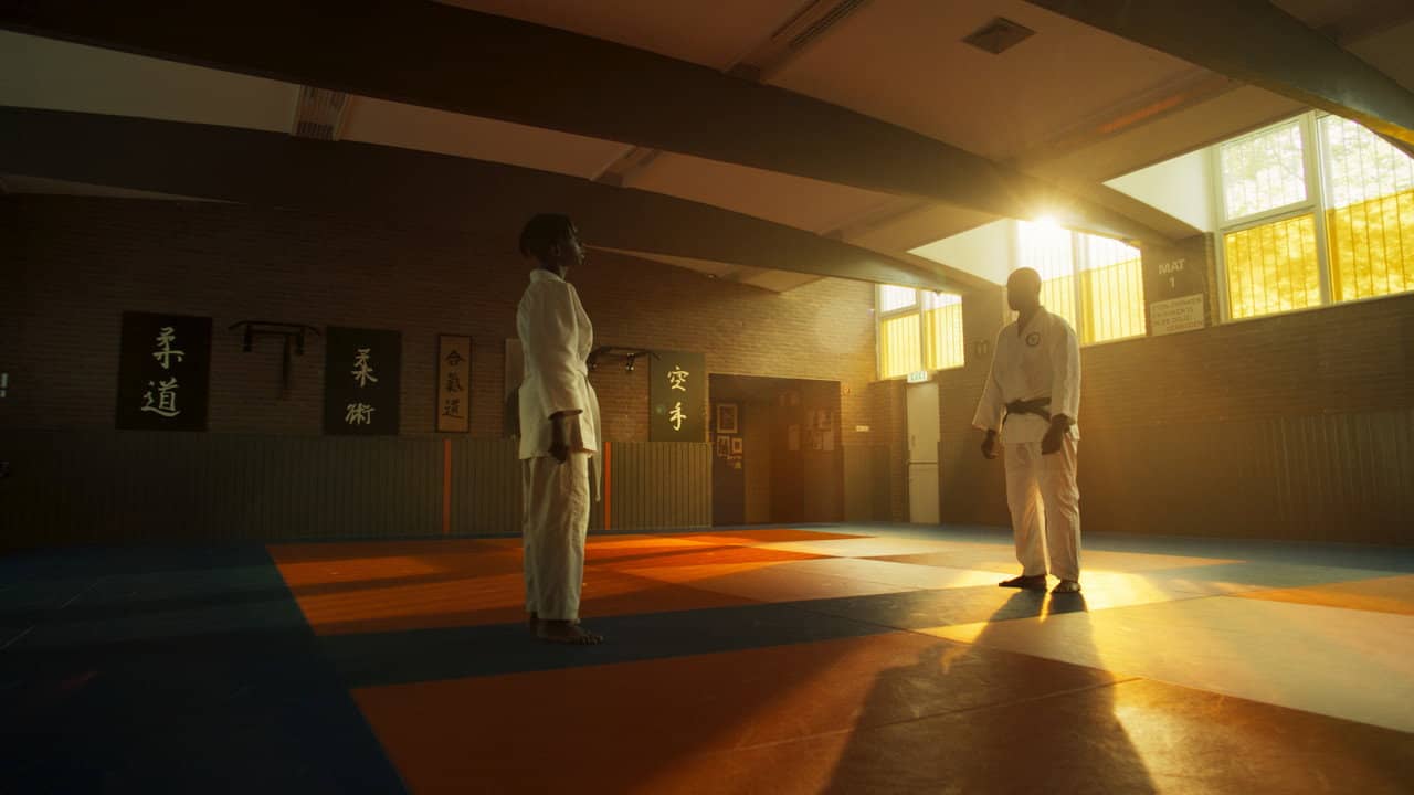 Dojo backdrop