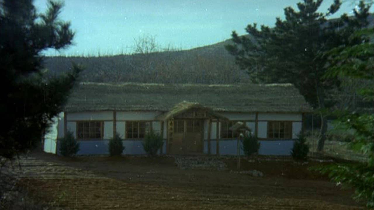 The Evergreen Tree backdrop