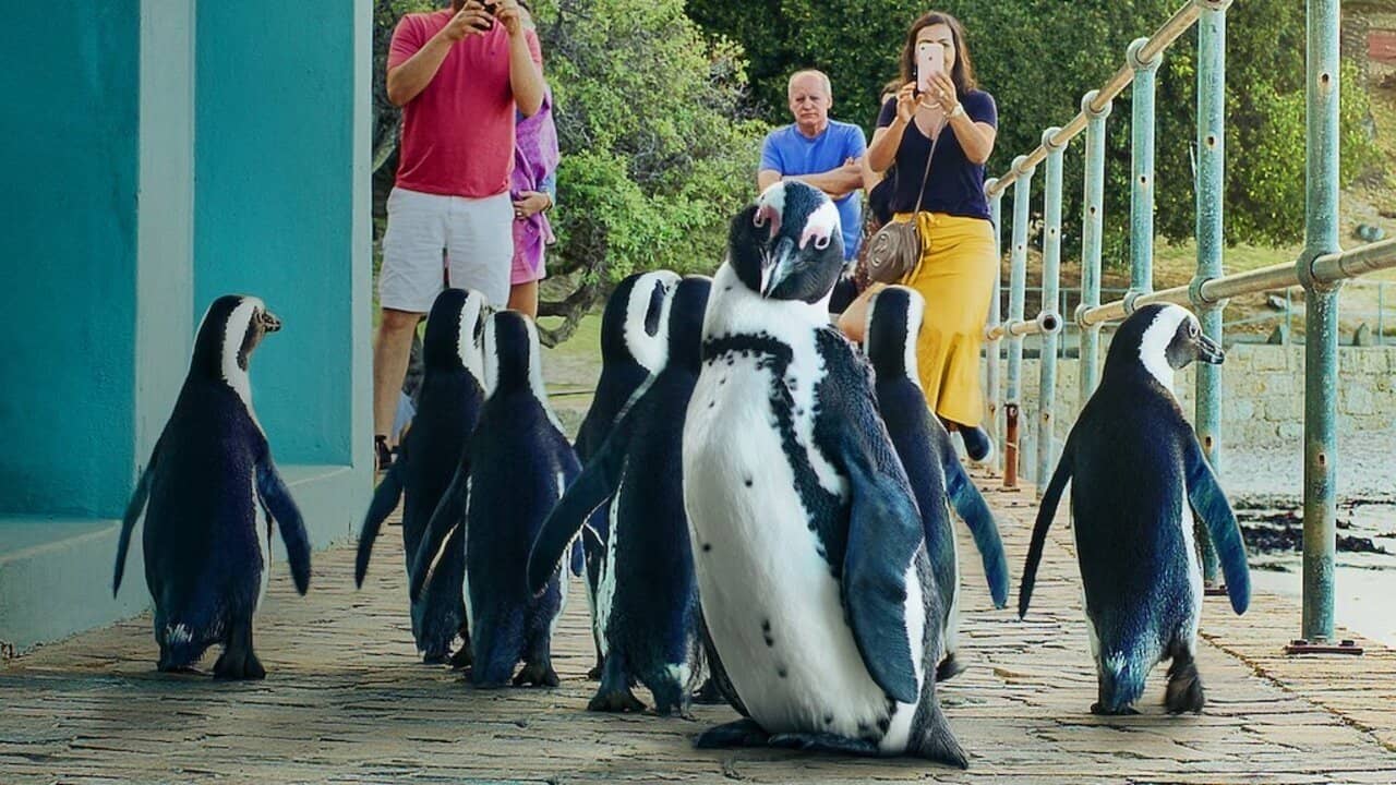 Penguin Town backdrop