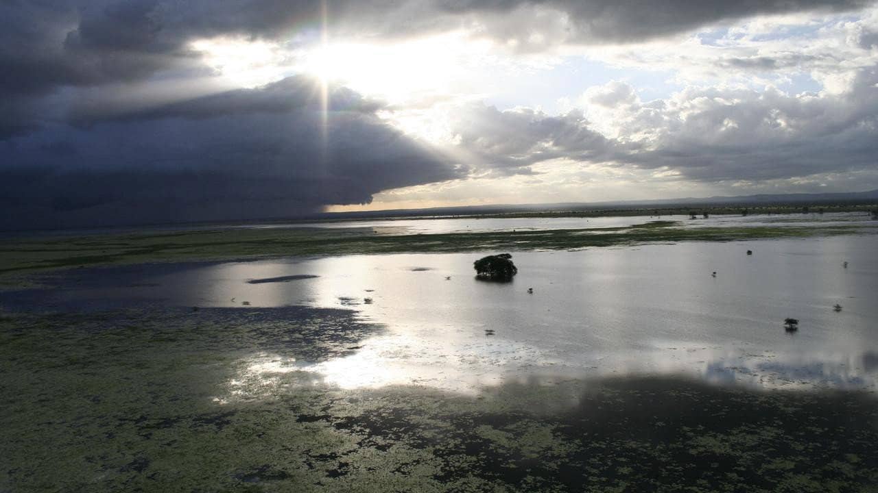 Africa's Lost Eden backdrop