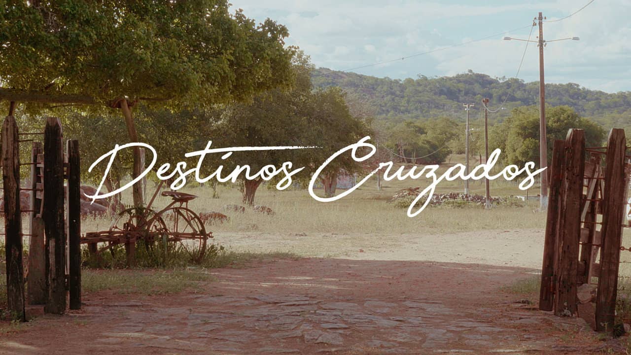 Destinos Cruzados backdrop