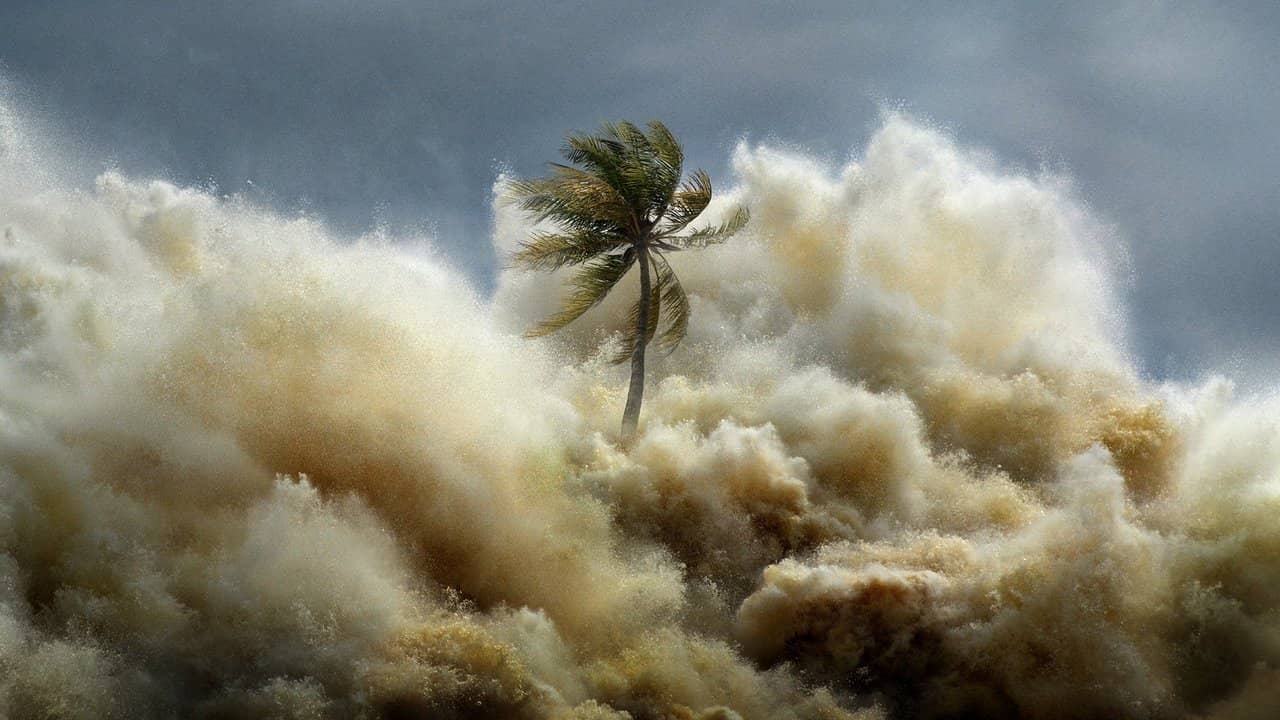 Tsunami: Race Against Time backdrop
