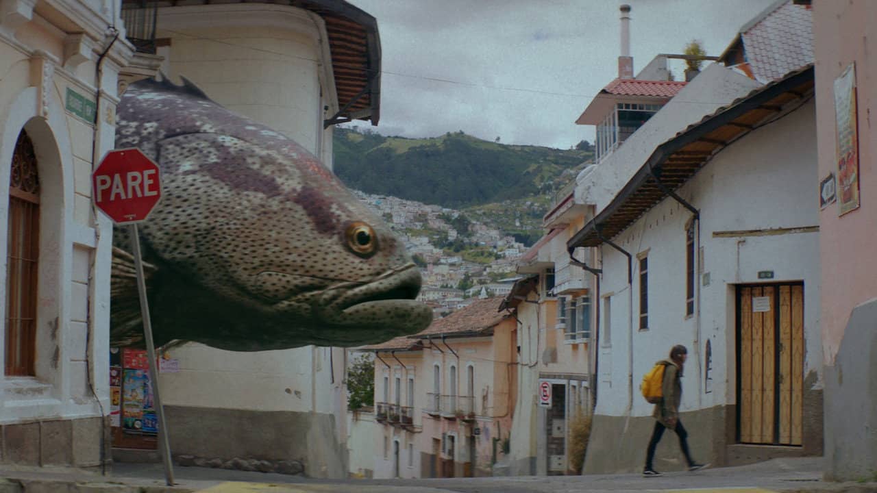 Fishgirl backdrop