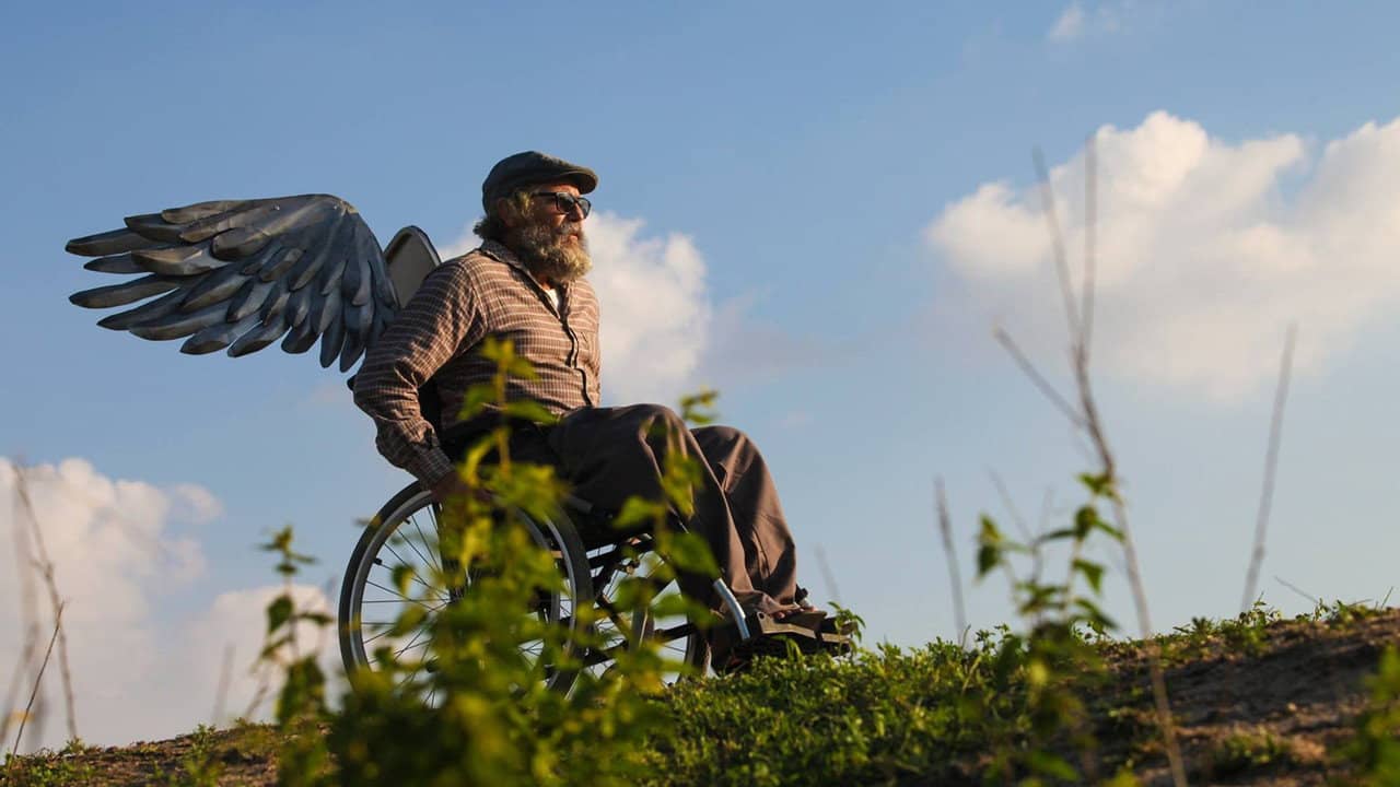 A Bicicleta do Vovô backdrop