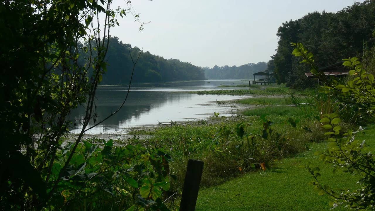 Rivers and Life backdrop