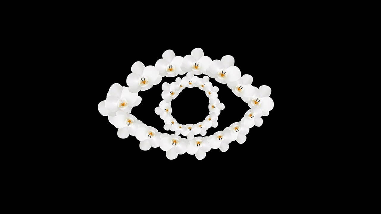 Orchid Eye backdrop