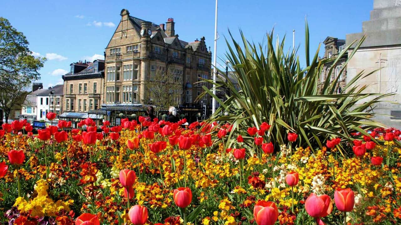 Britain in Bloom backdrop