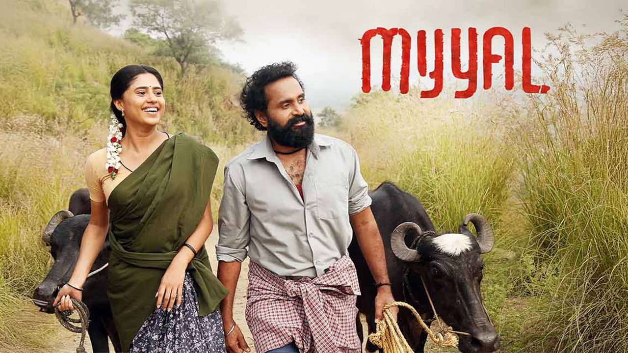 Myyal backdrop
