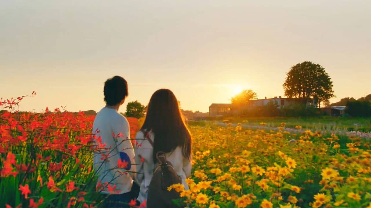 The Hows of Us backdrop