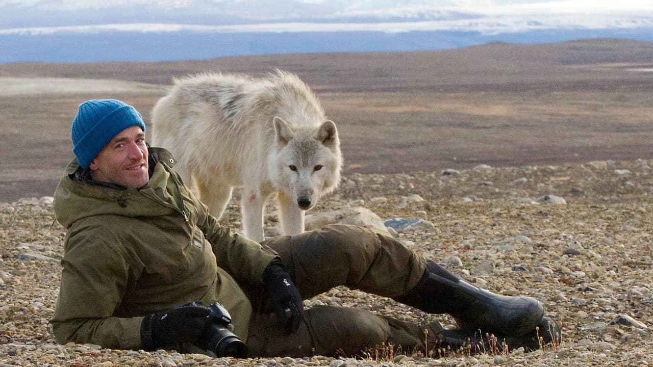 Snow Wolf Family and Me backdrop