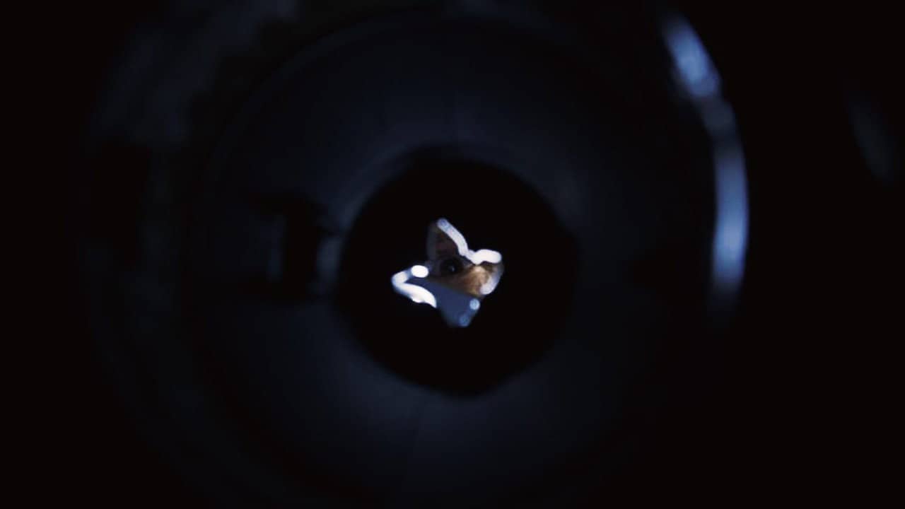 Disposal backdrop