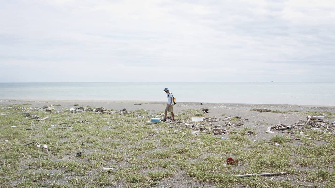 Walk the Tideline backdrop