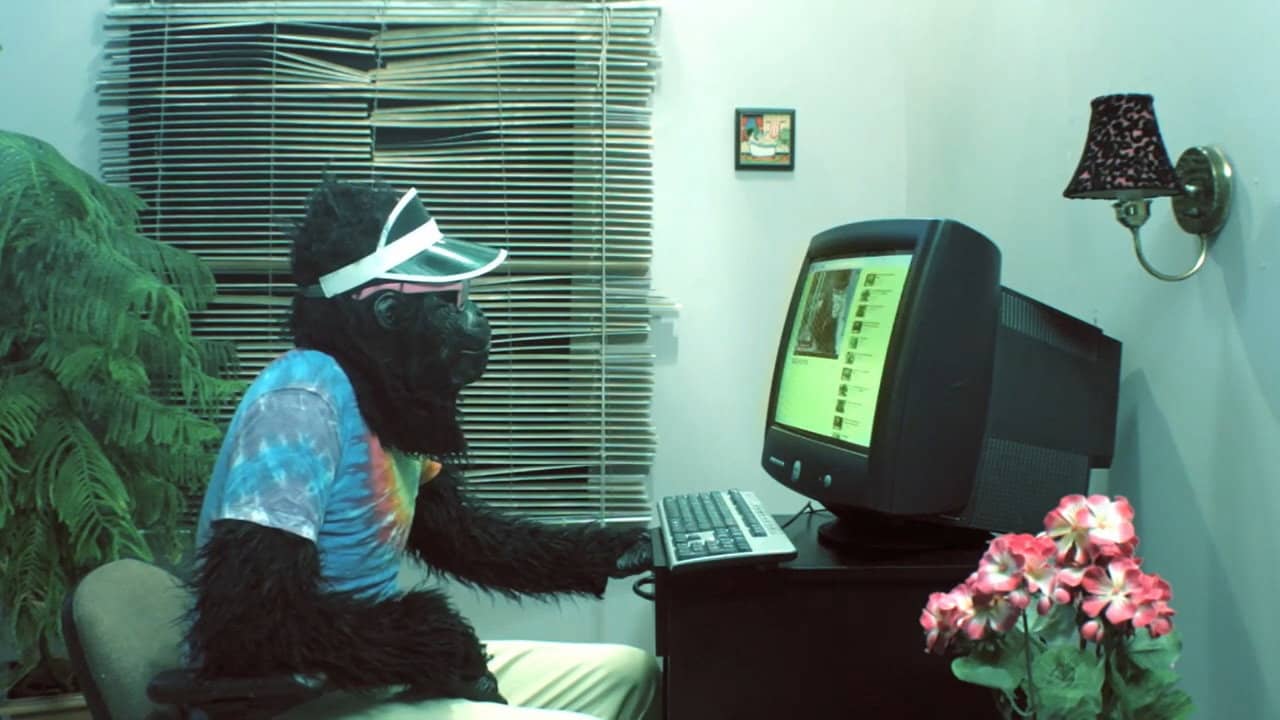Peter's Computer - Gorilla Video backdrop