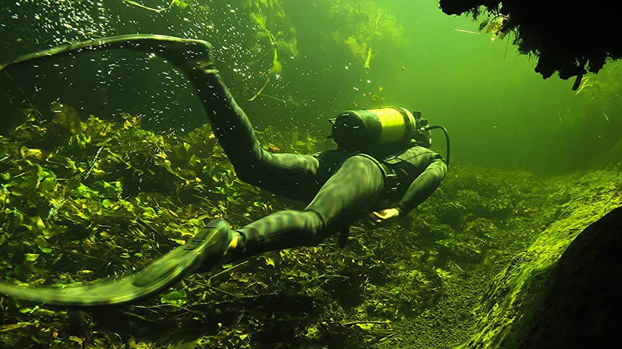 Underwater Okavango backdrop