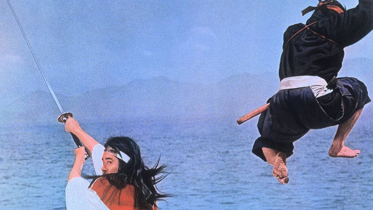 Miyamoto Musashi V: Musashi vs Kojiro backdrop