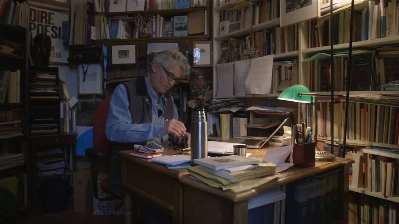 Libellula gentile. Fabio Pusterla, il lavoro del poeta backdrop