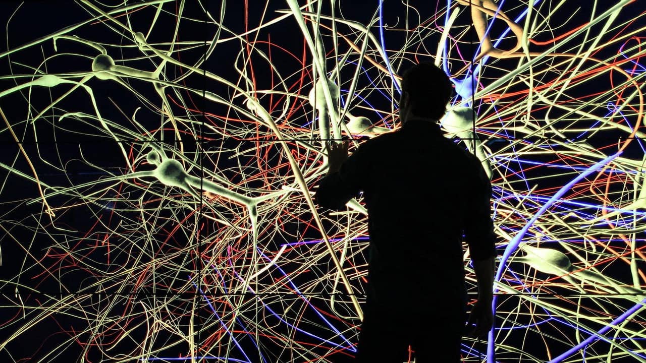 The Brain with David Eagleman backdrop