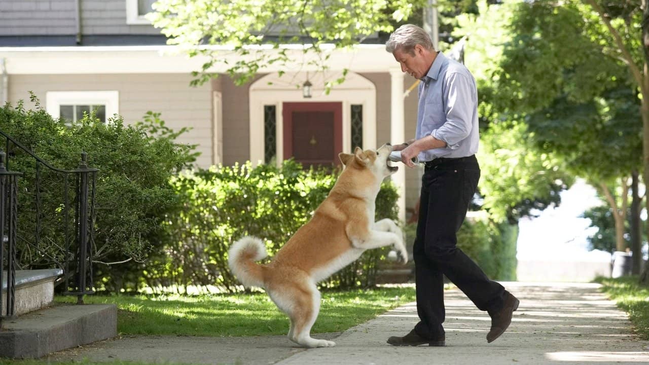 Hachi: A Dog's Tale backdrop