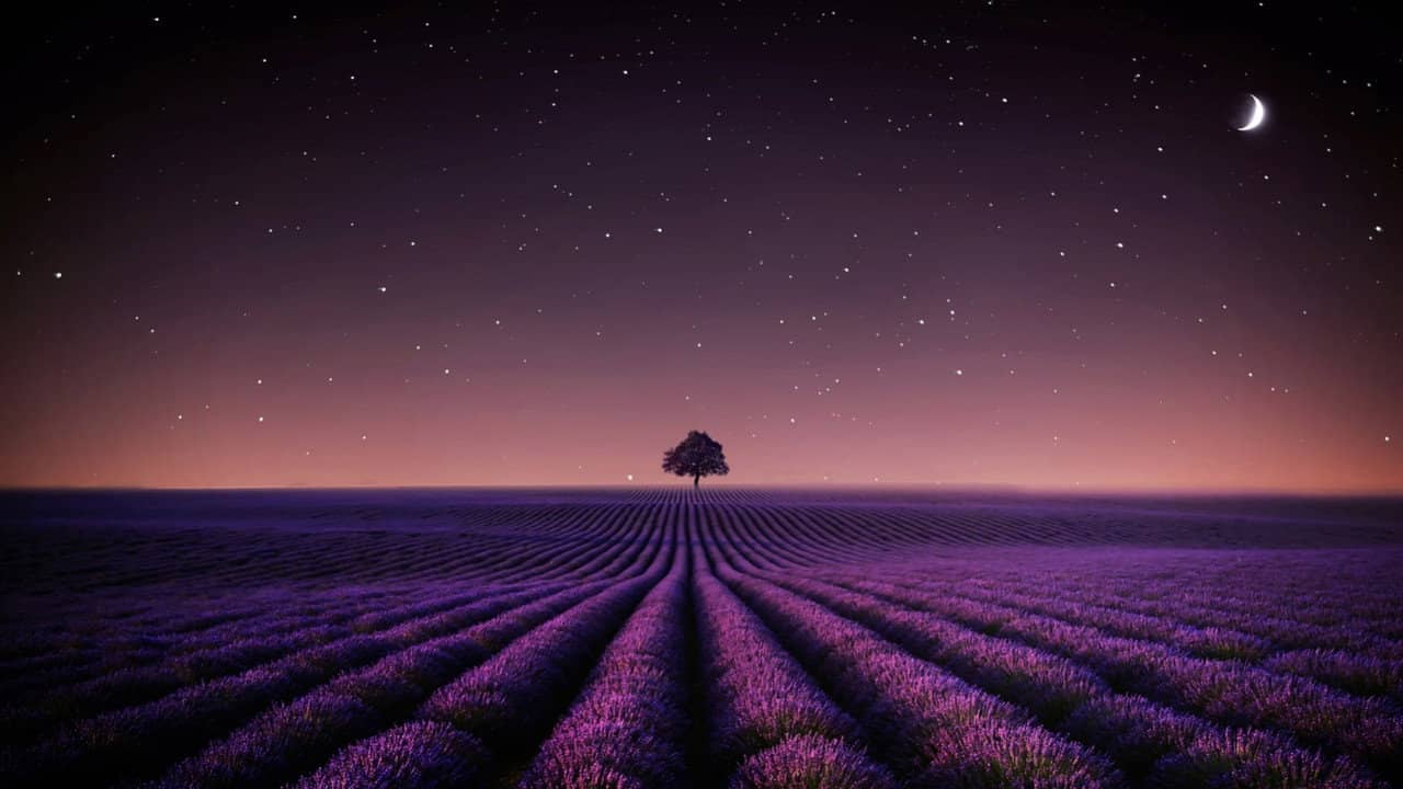 Adieu Aurora backdrop