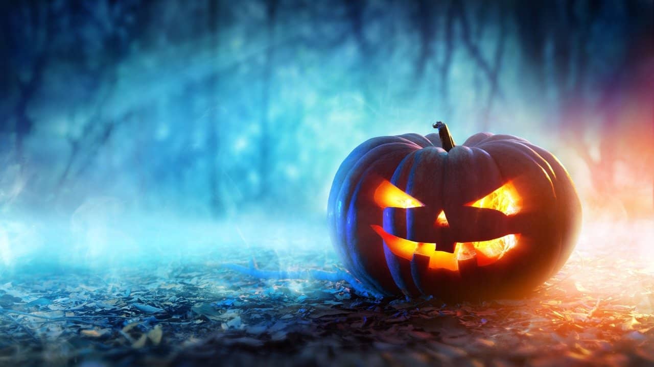 Halloween Party backdrop