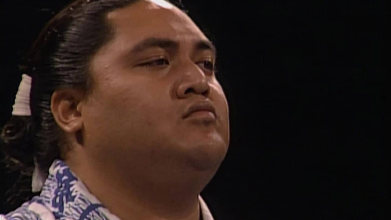 WWE Bashed in the USA backdrop