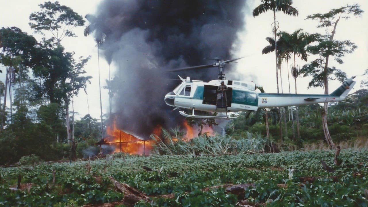 Narco Wars: In Their Own Words backdrop