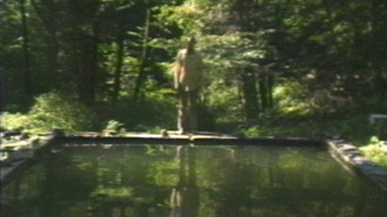 The Reflecting Pool backdrop