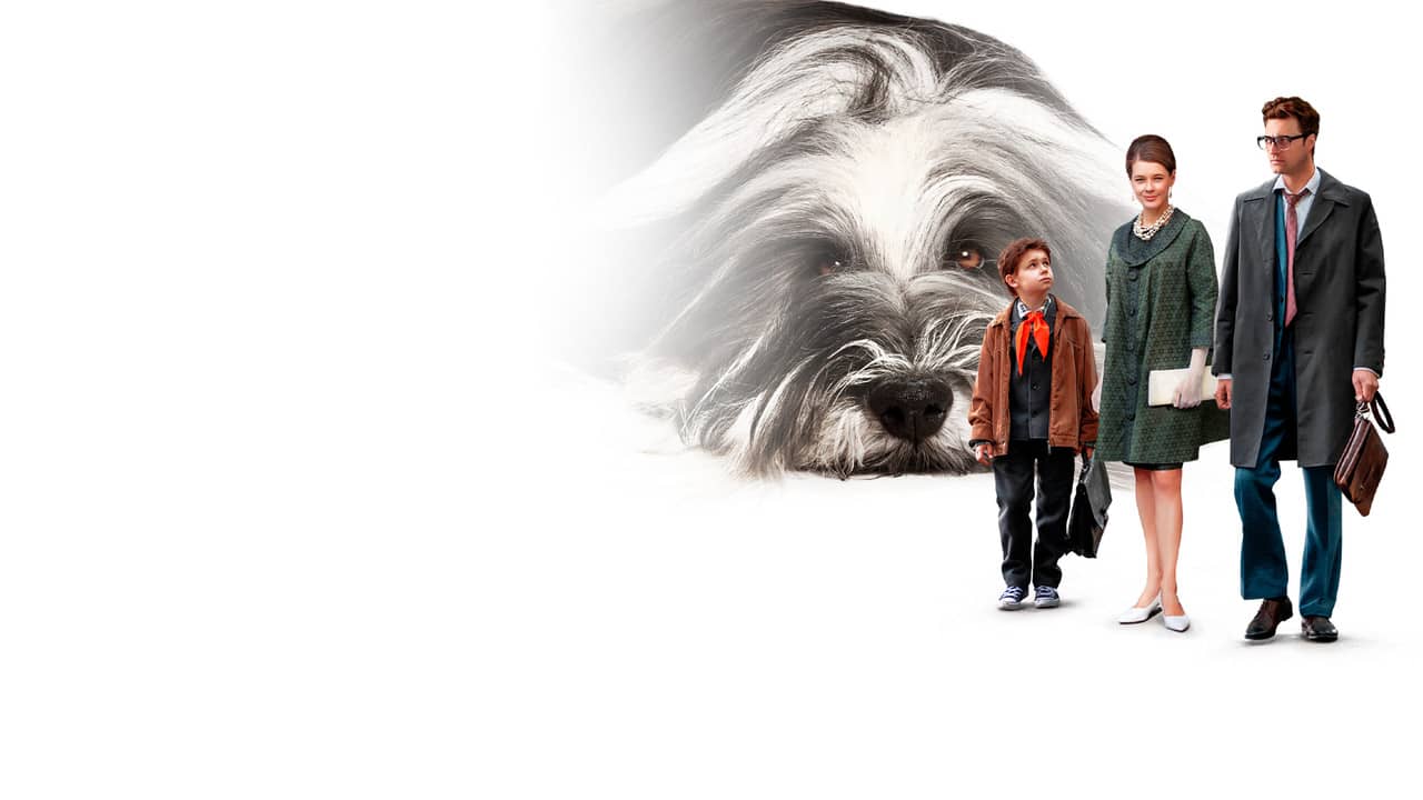 Everyone Dreams of a Dog backdrop