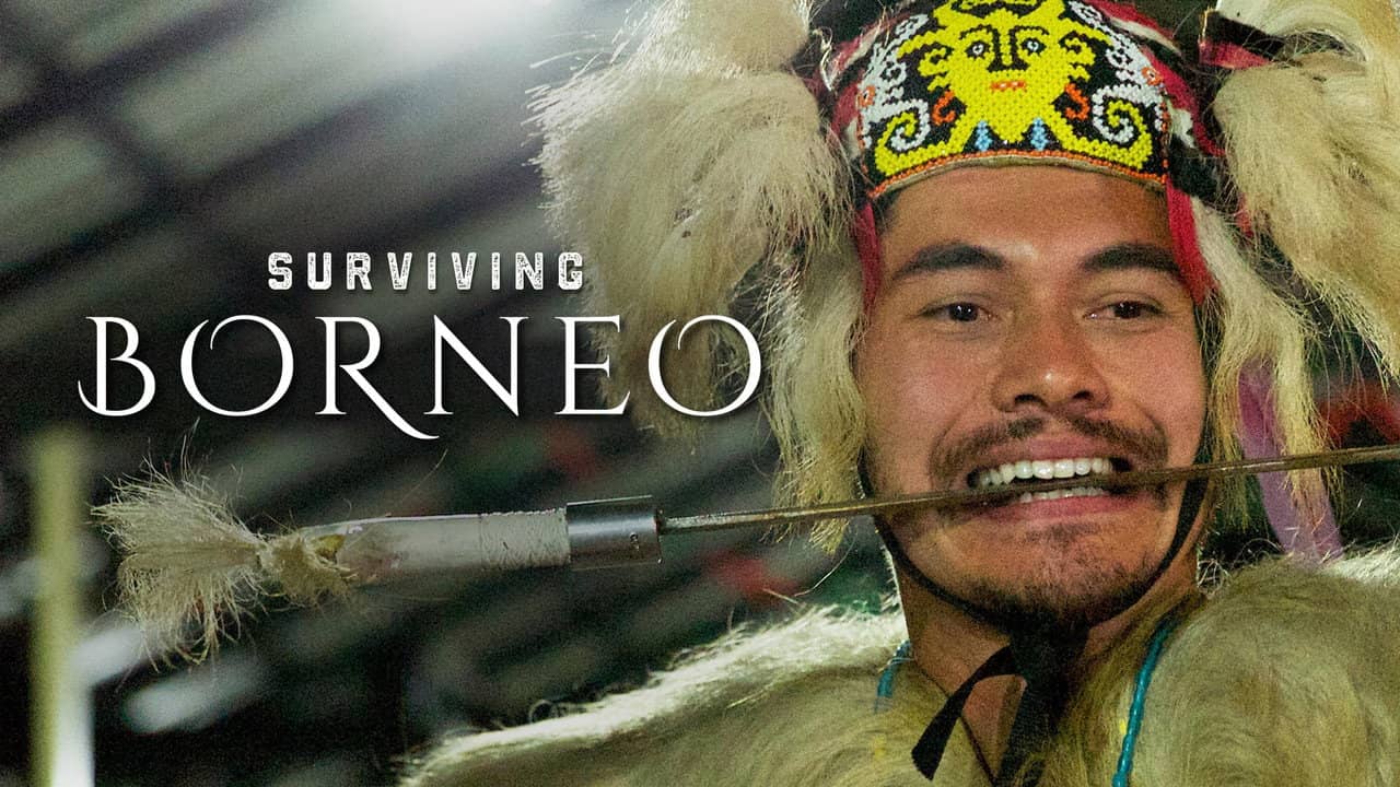 Surviving Borneo backdrop
